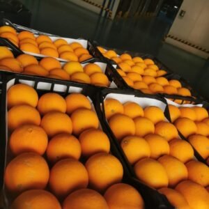 برتقال Orange